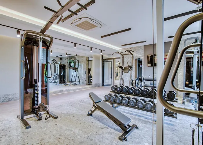 Premium N11 - Destigo